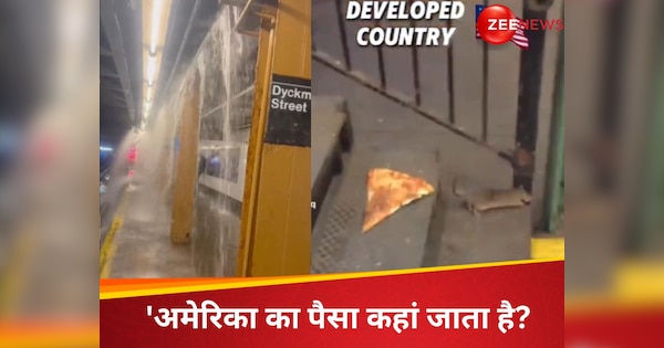 घूमते हुए चूहे, छत से टपकता पानी...न्यूयॉर्क सबवे का TikTok पर वीडियो वायरल, लोगों ने पूछा 'अमेरिका का पैसा कहां जाता है?'