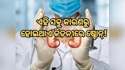 Kidney stones causes: କେଉଁ କାରଣରୁ ହୋଇଥାଏ କିଡନୀରେ ପଥରୀ?