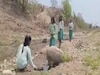 भाजपा सांसद कालीचरण सिंह