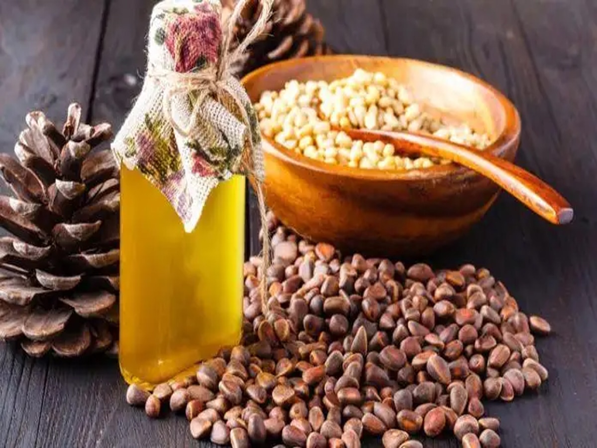 devdaaru tree found in Uttarakhand panacea for many diseases Its ...