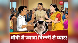 पति बीवी से ज्यादा बिल्ली से करता है प्यार, कोर्ट पहुंची पत्नी तो जज साहब क्या बोले