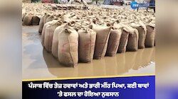 ਪੰਜਾਬ ਵਿੱਚ ਤੇਜ਼ ਹਵਾਵਾਂ ਅਤੇ ਭਾਰੀ ਮੀਂਹ ਪਿਆ, ਕਈ ਥਾਵਾਂ 'ਤੇ ਫਸਲ ਦਾ ਹੋਇਆ ਨੁਕਸਾਨ 