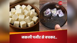 फेक पनीर का डर! पैकेट में तो पढ़ लेंगे, होटल में कैसे पता करेंगे? इस डॉ. ने दी सलाह