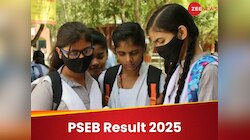 पंजाब बोर्ड 10वीं-12वीं का रिजल्ट, जारी होने पर इस डॉयरेक्ट लिंक से कर सकते हैं चेक 