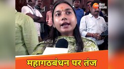 महागठबंधन की बैठक पर चिराग की सांसद का तंज, बोलीं- CM फेस तो तय नहीं कर पा रहे...