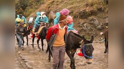 केदारनाथ यात्री ध्यान दें, अगले 24 घंटे नहीं मिलेंगे घोड़े-खच्चर, जान लीजिए वजह