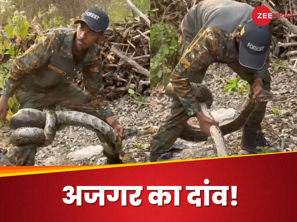 Viral Video : हे भगवान...पैरों को अजगर ने जकड़ा, जवान ने फन पकड़ कर ...