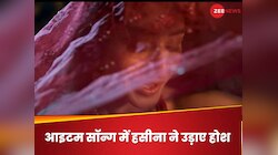 2 मिनट 35 सेकंड के आइटम सॉन्ग ने मचाया बवाल, हसीना के ठुमकों ने गिराई बिजलियां