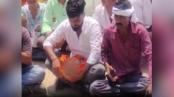 भारत-पाक जंग के दौरान कौन भड़काना चाहता है दंगा; गाय के कटे सर के साथ प्रदर्शन!