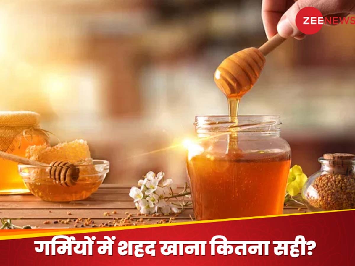 Can Eat Honey in Summer: क्या गर्मियों में शहद का सेवन किया जा सकता है? शरीर पर पड़ता कैसा असर, जान लें हैरतअंगेज फैक्ट
