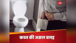 सुबह के वक्त पेट में ही अटक गई पॉटी, कहीं आपकी ये गलतियां तो नहीं हैं जिम्मेदार