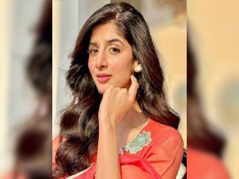 एक्टर के पोस्ट से बौखलाई पाकिस्तानी एक्टर्स 