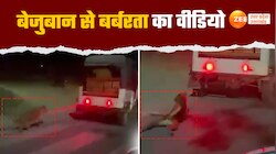 Video: कुत्ते को ऑटो से बांधकर सड़क पर घसीटा, बर्बरता का वीडियो सोशल मीडिया पर वायरल