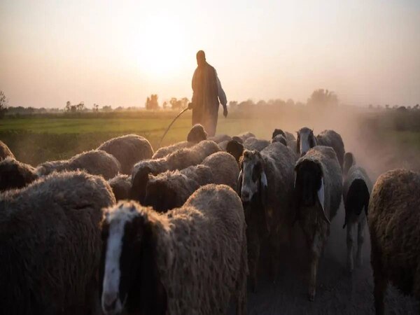 पाकिस्तान में ईसाई किसानों की जबरन बेदखली पर HRCP ने दी बड़ी चेतावनी 