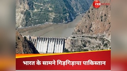 सीजफायर के बाद अब सूखा पाकिस्तान का हलक,झोली फैलाकर बोला-सिंधु जलसंधि पर सोचे भारत