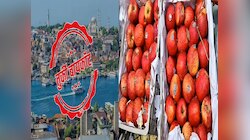 सेब और टाइल्स के अलावा भी भारत में है इन तुर्की चीजों की हाई डिमांड 