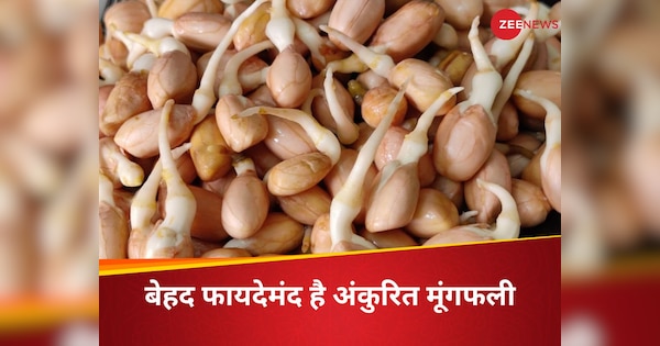 बस एक मुट्ठी में हो जाएगा कमाल, दिल से लेकर हड्डियों तक; सबके लिए बेहद फायदेमंद है अंकुरित मूंगफली