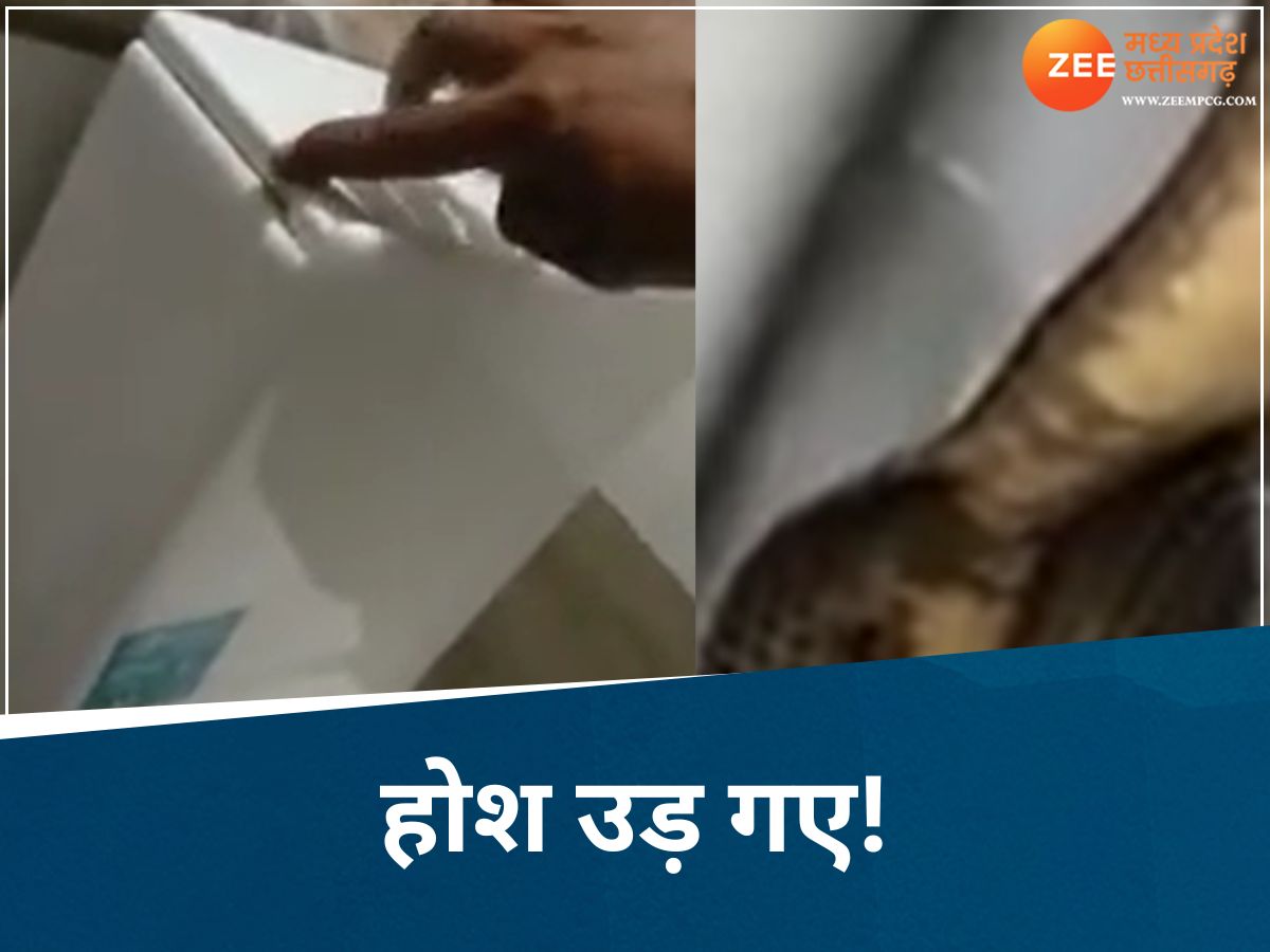 बाथरूम में टॉयलेट सीट से आ रही थी फुफकारने की आवाज! घरवालों ने अंदर झांका तो रह गए सन्न बाथरूम में टॉयलेट सीट से आ रही थी फुफकारने की आवाज! घरवालों ने अंदर झांका तो रह गए सन्न