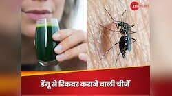 डेंगू ने तोड़कर रख दिया बदन, बीमारी से पहले वाली ताकत पाने के इन चीजों का करें सेवन