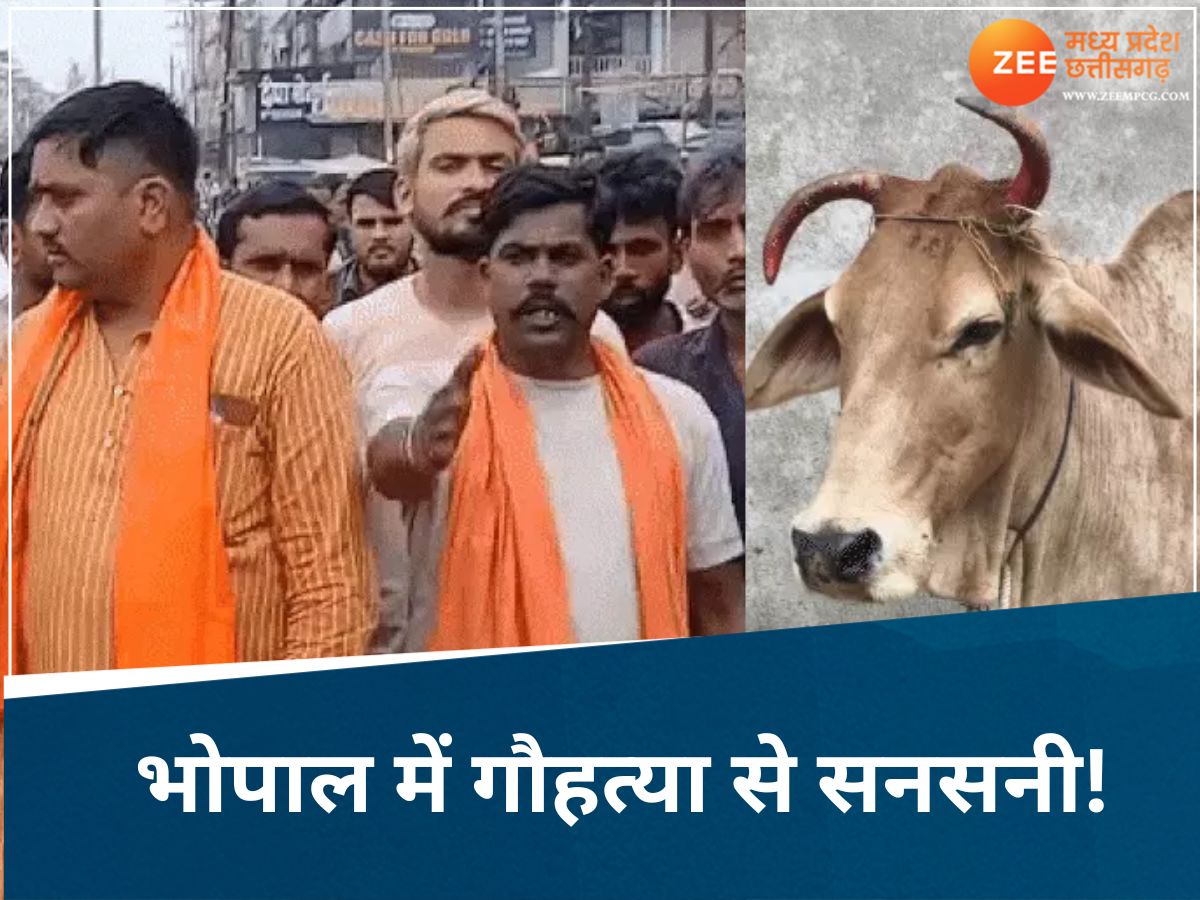 भोपाल में गौहत्या की सनसनीखेज वारदात! 6 हिस्सों में कटी गाय बरामद, बजरंग दल ने मचाया हंगामा...! भोपाल में गौहत्या की सनसनीखेज वारदात! 6 हिस्सों में कटी गाय बरामद, बजरंग दल ने मचाया हंगामा...!