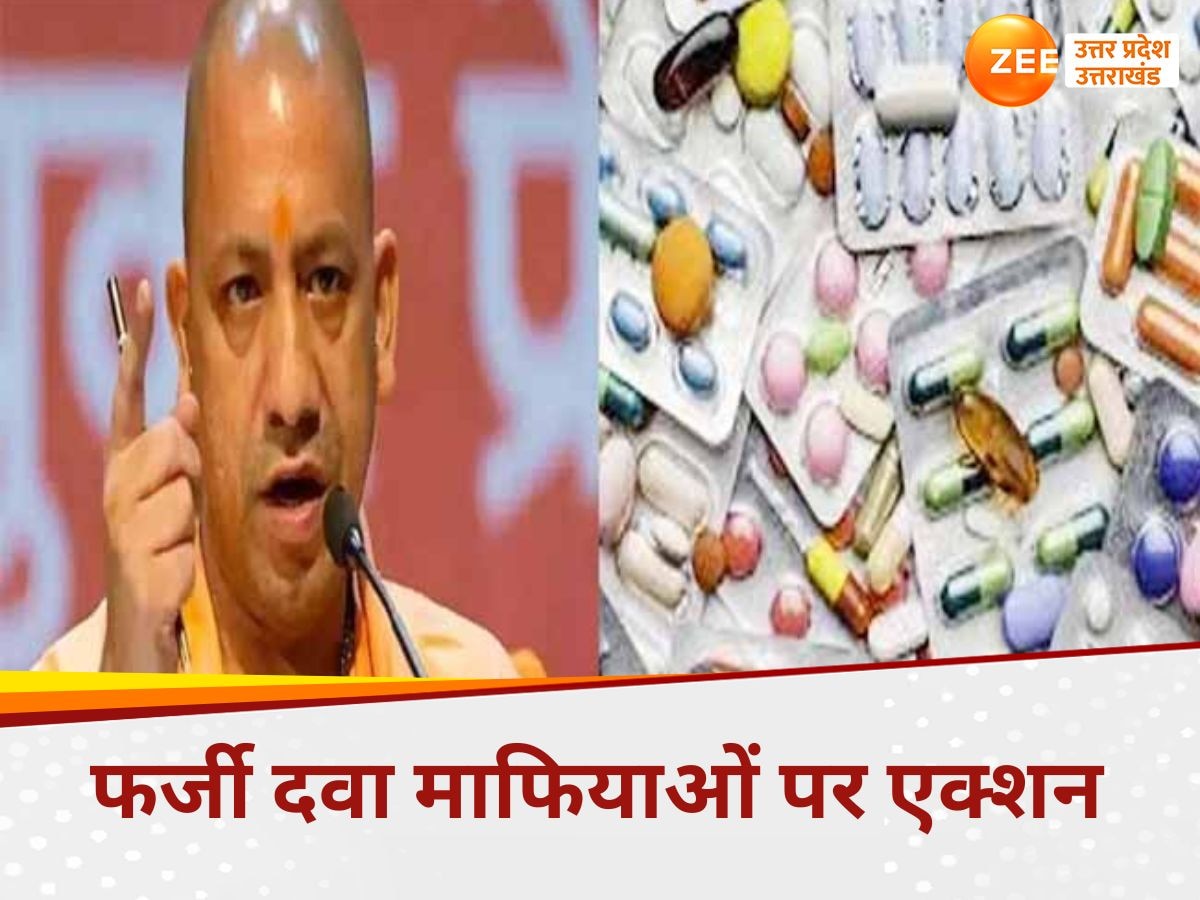 फाइल फोटो