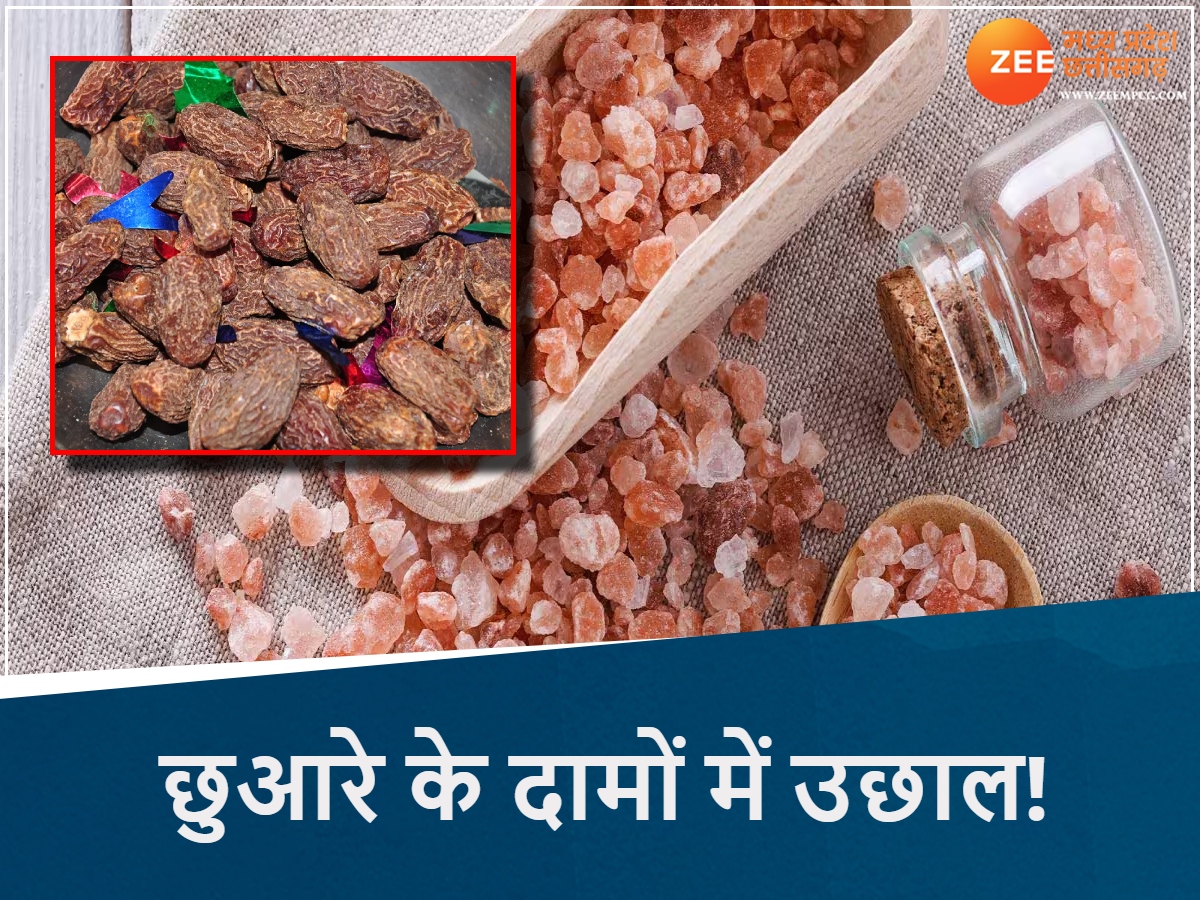 सीमा पर तनाव...बाजार में हलचल, MP में पनीर का फूल हुआ महंगा, छुआरे ने तोड़े रिकॉर्ड सीमा पर तनाव...बाजार में हलचल, MP में पनीर का फूल हुआ महंगा, छुआरे ने तोड़े रिकॉर्ड
