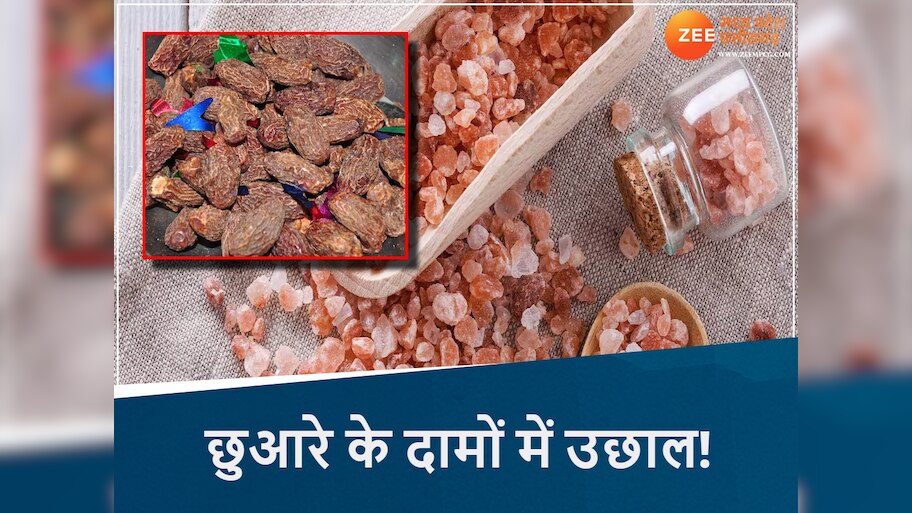 सीमा पर तनाव...बाजार में हलचल, MP में पनीर का फूल हुआ महंगा, छुआरे ने तोड़े रिकॉर्ड