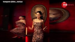 हाउसफुल 5 के 'दिल ए नादान' गाने पर Isha Malviya ने किया धमाकेदार डांस, सिजलिंग मूव्स और अदाओं ने बढ़ाया इंटरनेट का पारा!