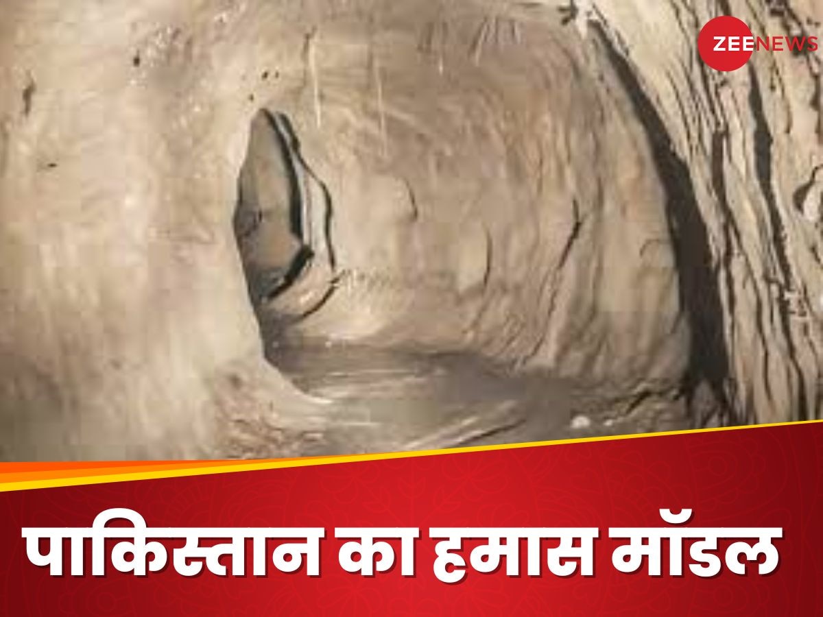 DNA: हमास की तर्ज पर काम कर रही थी पाकिस्तान की फौज, भारतीय सेना ने बटन दबाकर कर दिया खेल खत्म