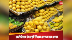 'वापस ले जाओ', अमेरिका ने भारत के 15 आम से लदे शिपमेंट की नहीं दी एंट्री, आगे क्या?