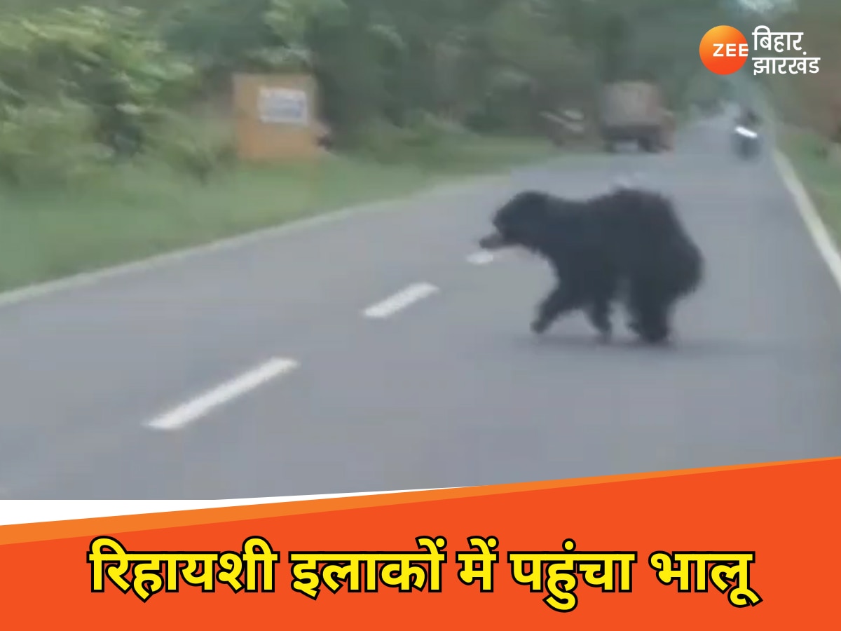 रिहायशी इलाकों में पहुंचा भालू