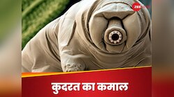 Animals: दुनिया के 5 सबसे दमदार जानवर, महीनों तक जिंदा रह सकते हैं बिना खाए-पिए