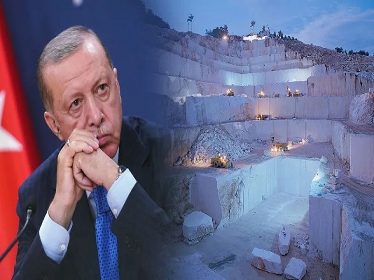 Boycott Turkey: भारत से पंगा तुर्की को पड़ा महंगा, एर्दोगन के दामाद की कंपनी हुई बर्बाद; एक दिन में 17000000000 रुपये....