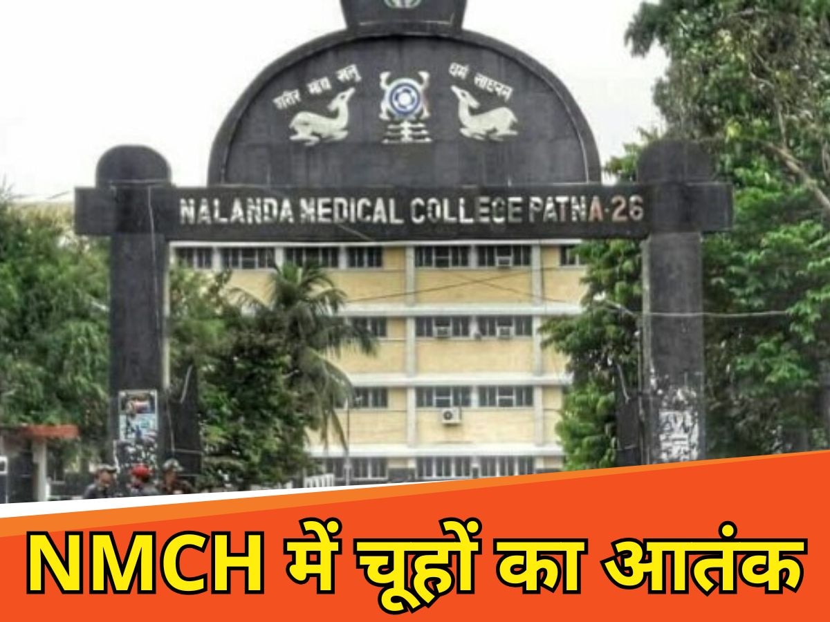 एनएमसीएच में चूहों का आतंक
