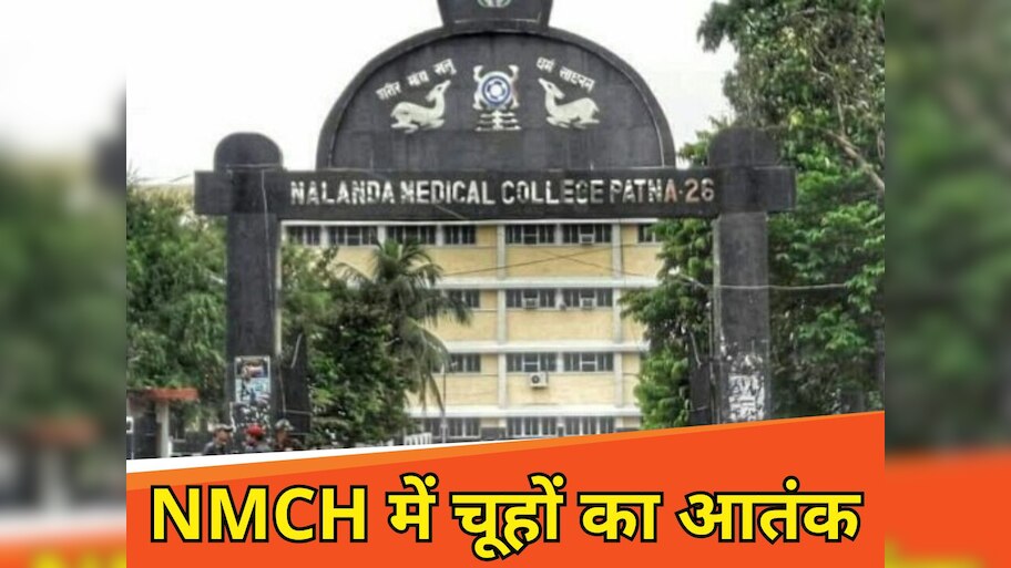 NMCH News: अस्पताल में चूहों का आतंक, मरीज की कुतर दी पांचों उंगलियां, हॉस्पिटल में मचा हड़कंप
