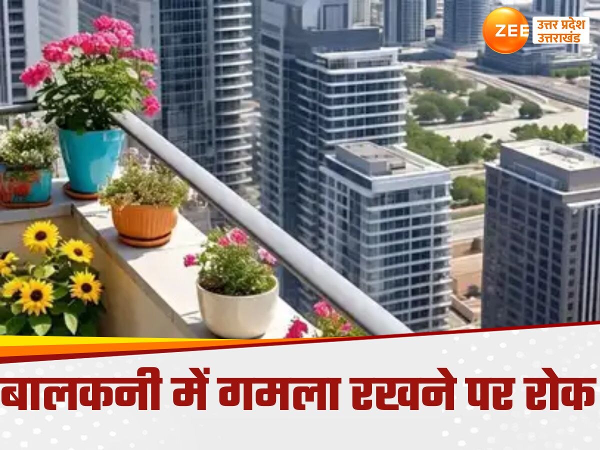 फाइल फोटो 