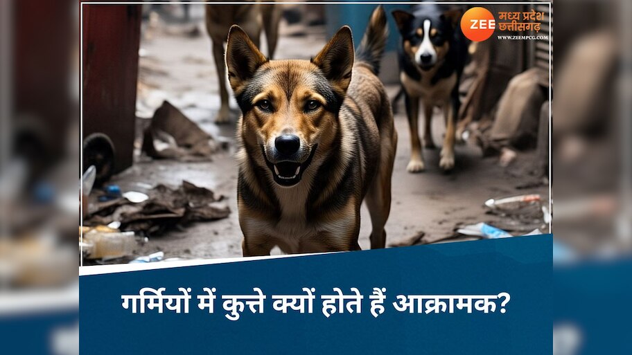 MP में खूंखार कुत्तों का आतंक! मुरैना से लेकर भोपाल तक लोगों में खौफ, निशाने पर बुजुर्ग और मासूम
