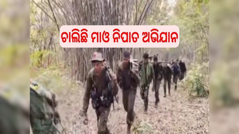 Maoist: ଚାଲିଛି ମାଓ ନିପାତ ଅଭିଯାନ, ୩୦ ନକ୍ସଲ ନିହତ...