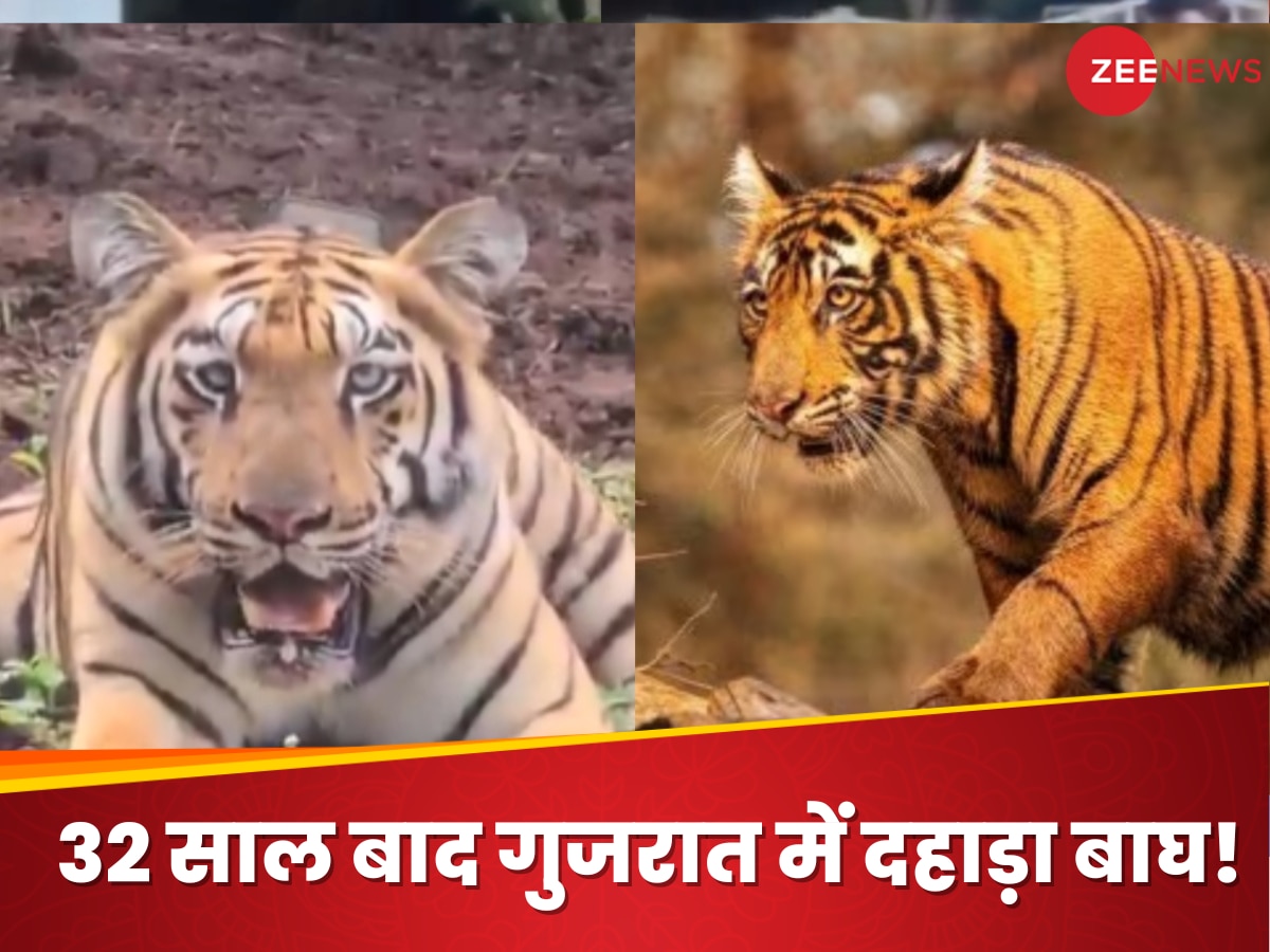 WATCH: 32 साल बाद फिर दिखा ये खूंखार जानवर, वीडियो देख नहीं होगा आंखों पर यकीन