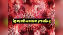 ଚିନ୍ତା ବଢ଼ାଇଛି କୋରୋନାର ନୂଆ ଭାରିଏଣ୍ଟ! ଦେଶରେ ଏପର୍ଯ୍ୟନ୍ତ କୋଭିଡର ମୋଟ୍ ମାମଲା...