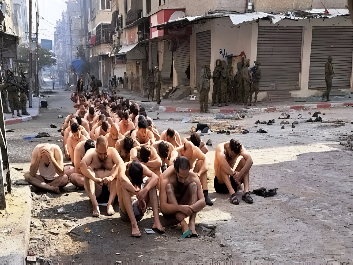 Gaza: 'मच्छर' कोडनेम; कुत्ते की जगह फिलिस्तीनी होते हैं इस्तेमाल, IDF ऐसे कर रही यूज़ Gaza: 'मच्छर' कोडनेम; कुत्ते की जगह फिलिस्तीनी होते हैं इस्तेमाल, IDF ऐसे कर रही यूज़