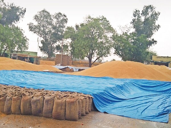 ପ୍ରାକ ମୌସୁମୀ ବର୍ଷା ନେଇ ଚାଷୀଙ୍କ ପାଇଁ ନିର୍ଦ୍ଦେଶ ଜାରି