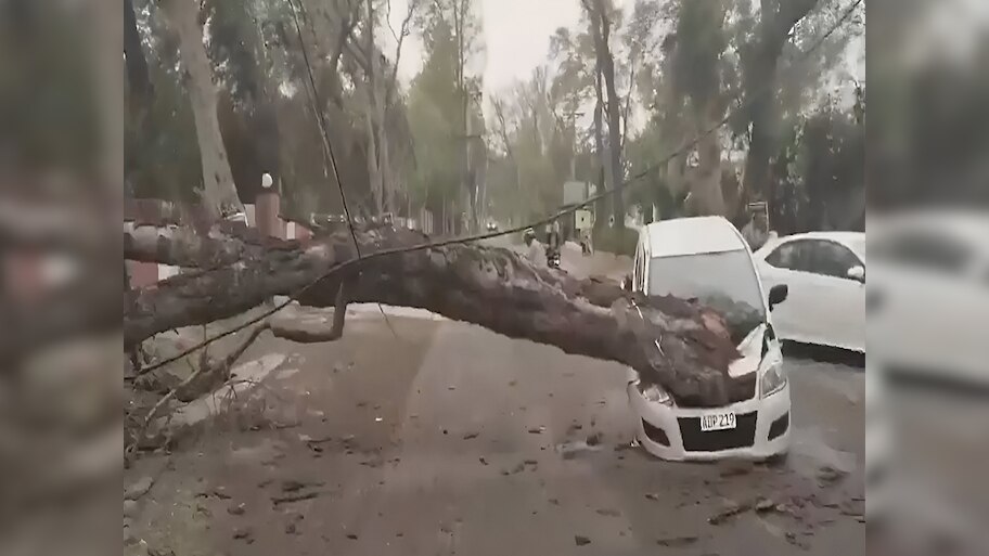 Rainfall News: भारी बारिश से पाकिस्तान में भारी नुकसान, 8 लोगों की मौत और कई घायल