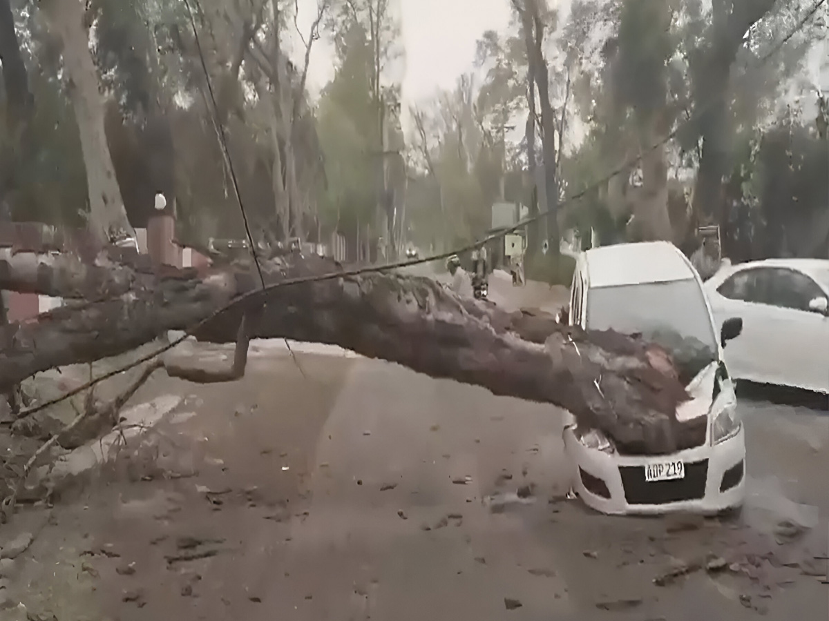 Rainfall News: भारी बारिश से पाकिस्तान में भारी नुकसान, 8 लोगों की मौत और कई घायल Rainfall News: भारी बारिश से पाकिस्तान में भारी नुकसान, 8 लोगों की मौत और कई घायल