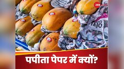 पपीते को न्यूजपेपर में लपेटकर ही क्यों बेचा जाता है? जानें इसके पीछे की अहम वजह