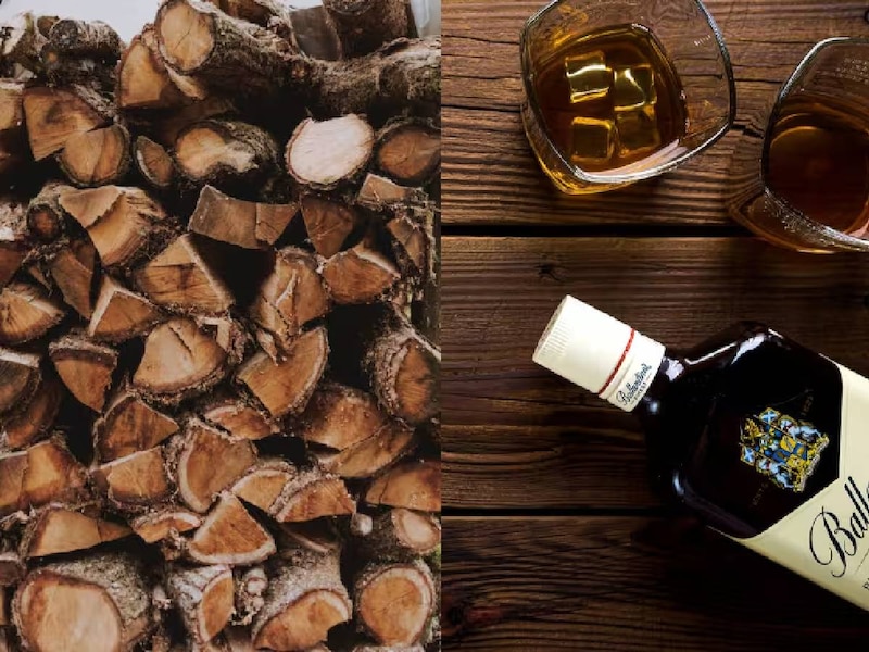 'वीजन 2030' प्रोजेक्ट के तहत फैसला 