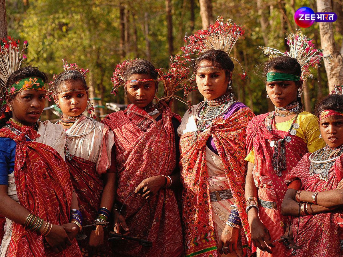 भारत में कहां रहते हैं सबसे ज्यादा आदिवासी? इतनी आबादी तो छोटे से देश की है