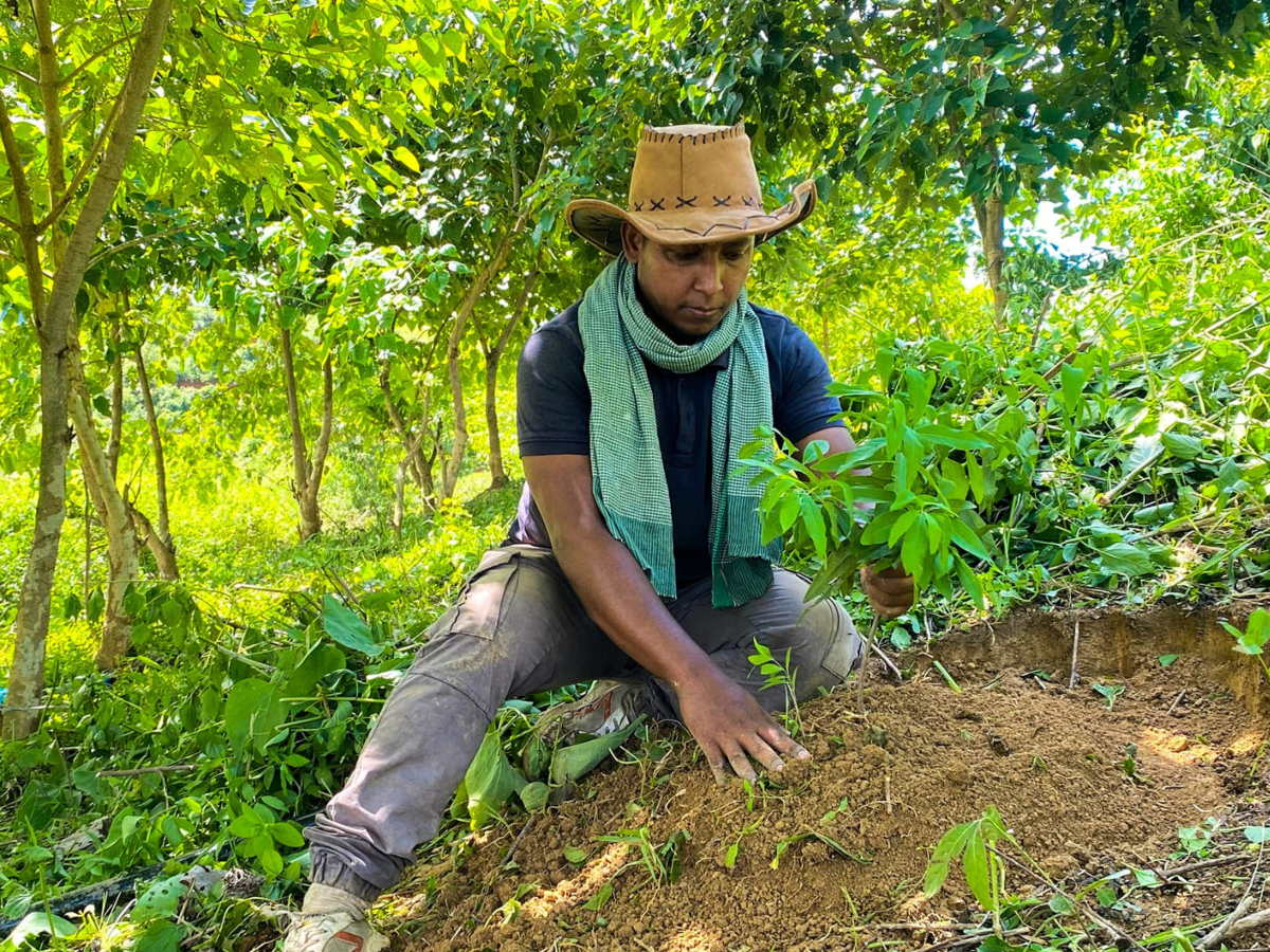 पेड़ लगाते अनीस अहमद पेड़ लगाते अनीस अहमद