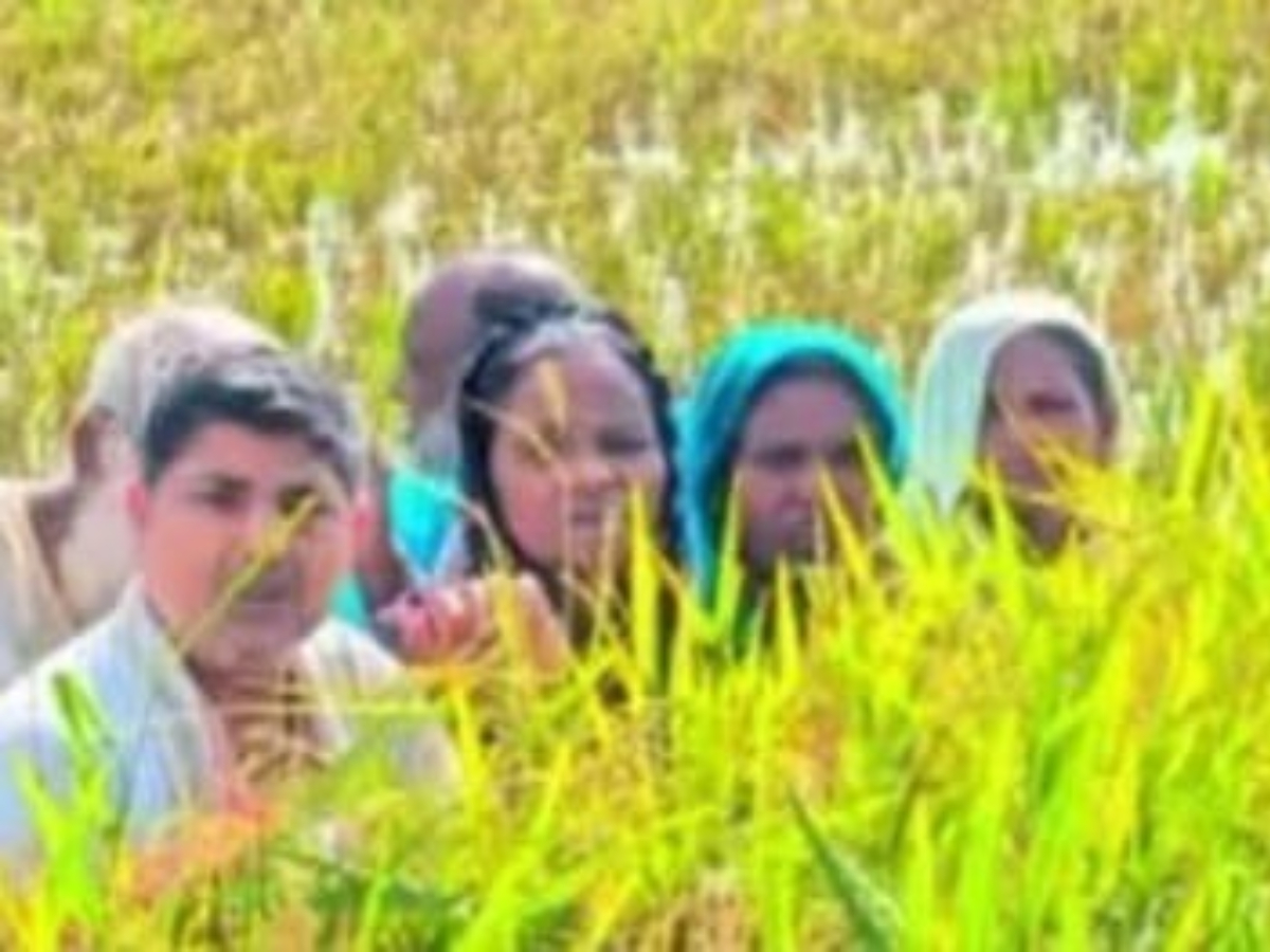 बांग्लादेशी के नाम पर 'नो मैंस लैंड' के धकेले आसामीज बांग्लादेशी के नाम पर 'नो मैंस लैंड' के धकेले आसामीज