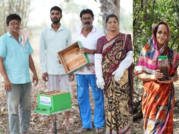Odisha news: ବିଶ୍ୱ ମହୁମାଛି ଦିବସ ପାଳିତ